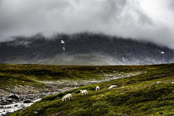Tailor-made golf holidays: explore the alps' best courses